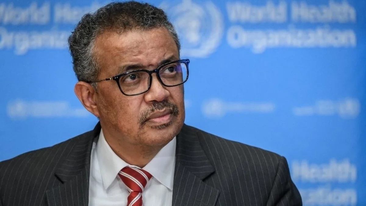 WHO official praises Turkey's fight against coronavirus
