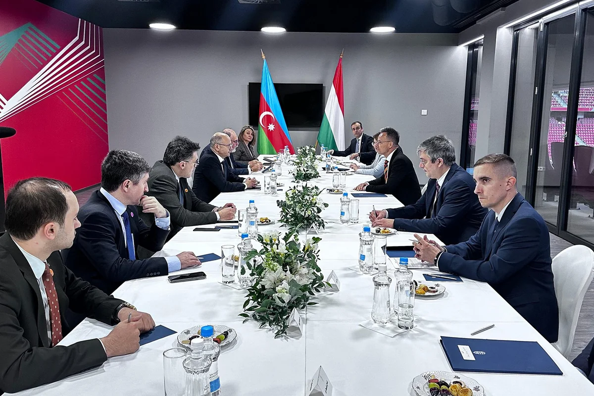 Azerbaijan and Hungary mull development of energy cooperation