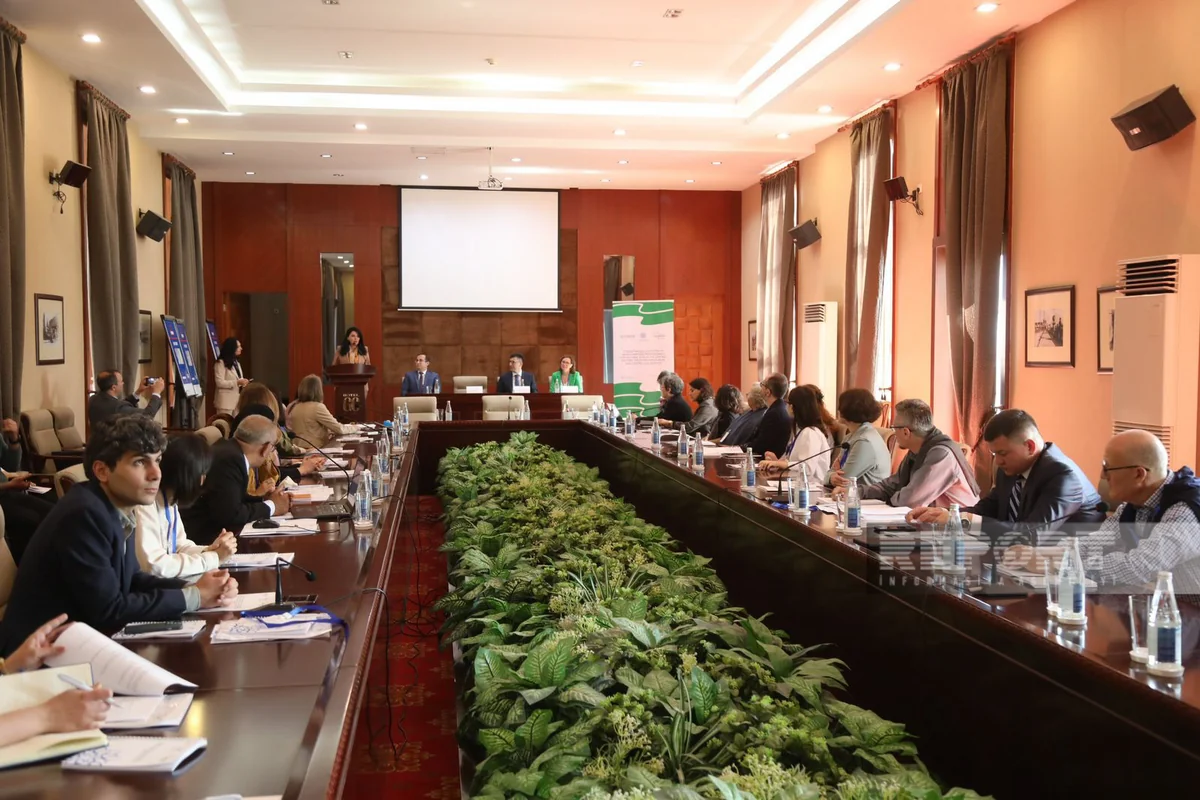 ICOMOS prezidenti: Dünya mədəni irsi bir sıra çağırışlarla üz-üzədir