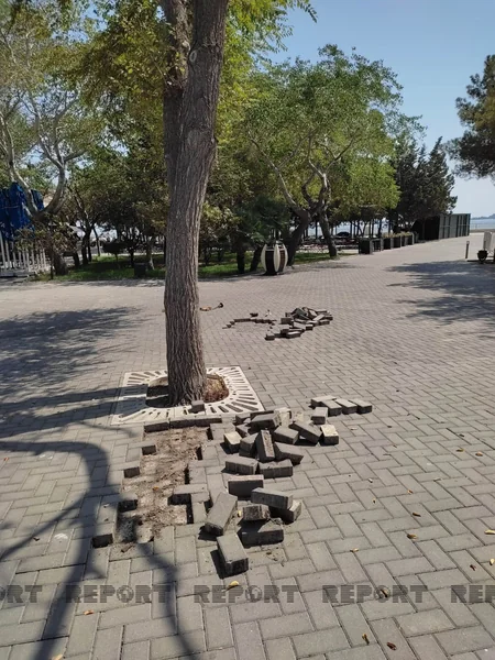Bakı bulvarında daş üzlüklər yararsız vəziyyətə düşüb