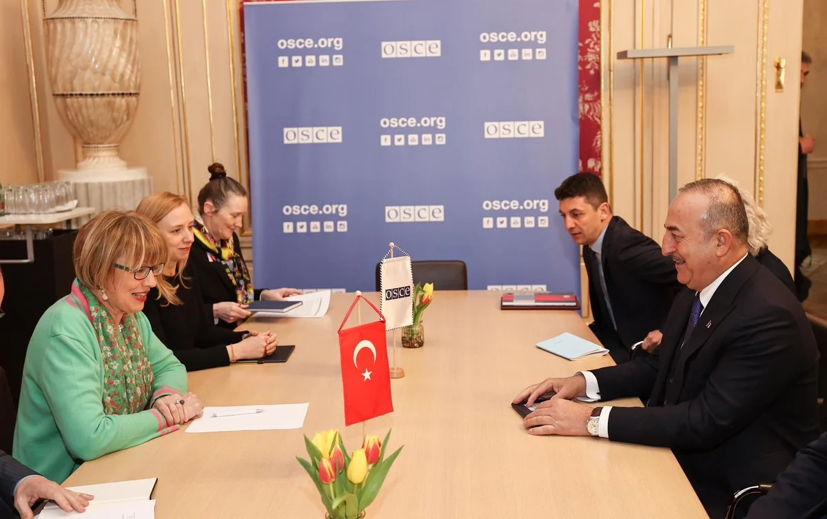 Çavuşoğlu ATƏT-in baş katibi ilə Ukrayna və Cənubi Qafqazdakı vəziyyəti müzakirə edib