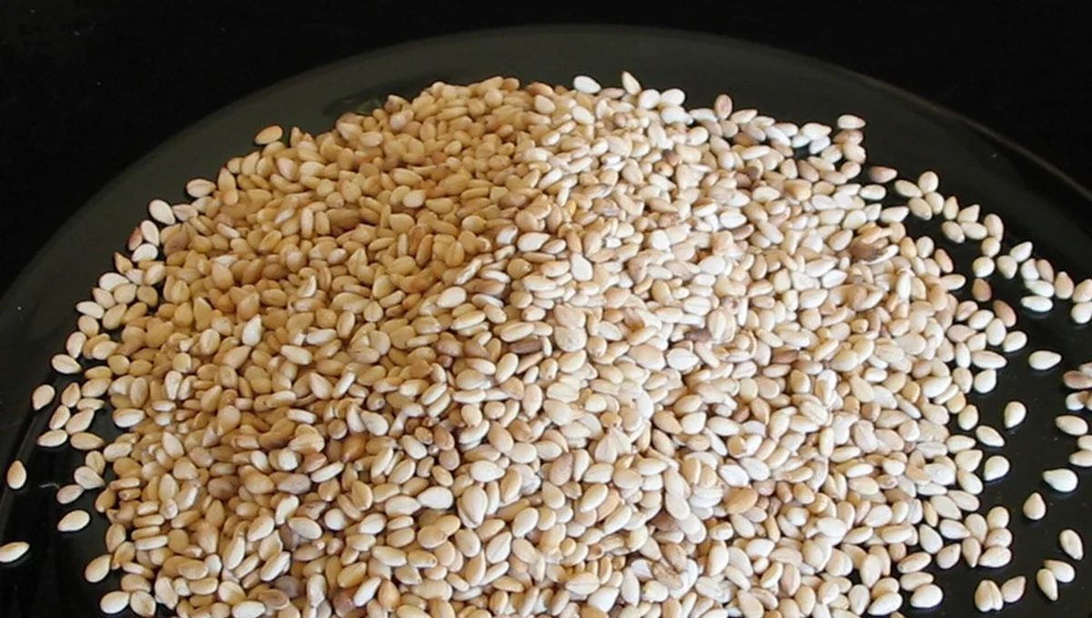 Azərbaycan Türkiyədən küncüt toxumunun alışını 44 dəfə artırıb