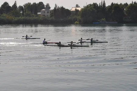 XXXI Yay Olimpiya Oyunlarının gümüş mükafatçısı Mingəçevirdə olub