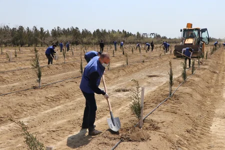 Biz birlikdə güclüyük şüarı altında yaşıllıq salındı
