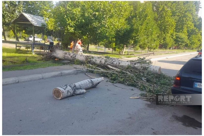 Mingəçevirdə güclü külək nəticəsində ölən və xəsarət alanlar olub