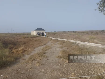 Şirvan Milli Parkında ceyranların müşahidə məntəqəsi istifadəyə verilib
