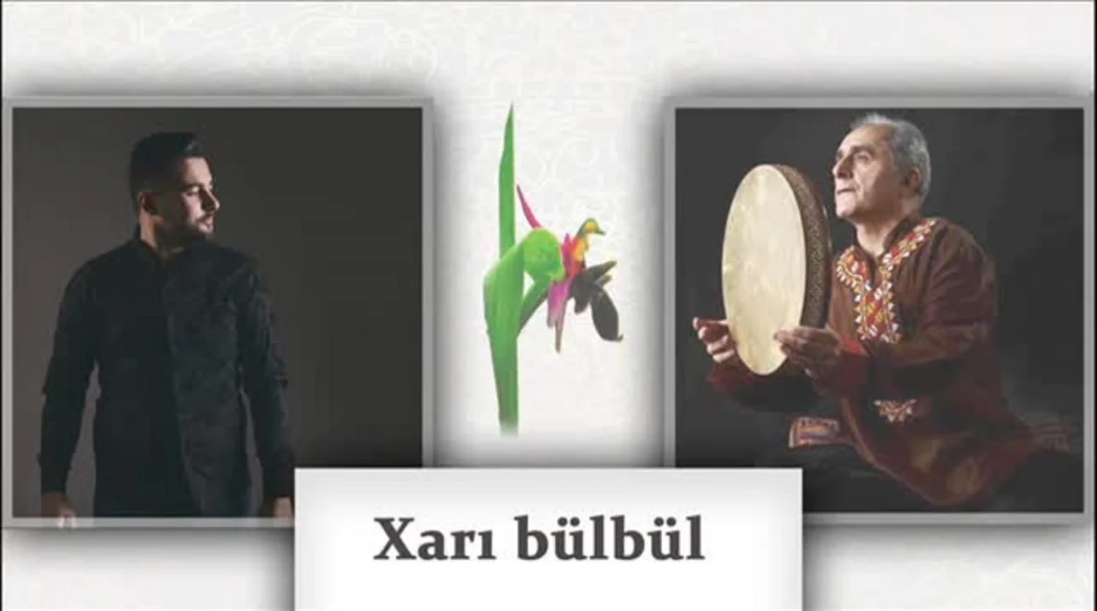 “Xarı bülbül” mahnısına çəkilmiş klipin təqdimatı keçirilib - VİDEO