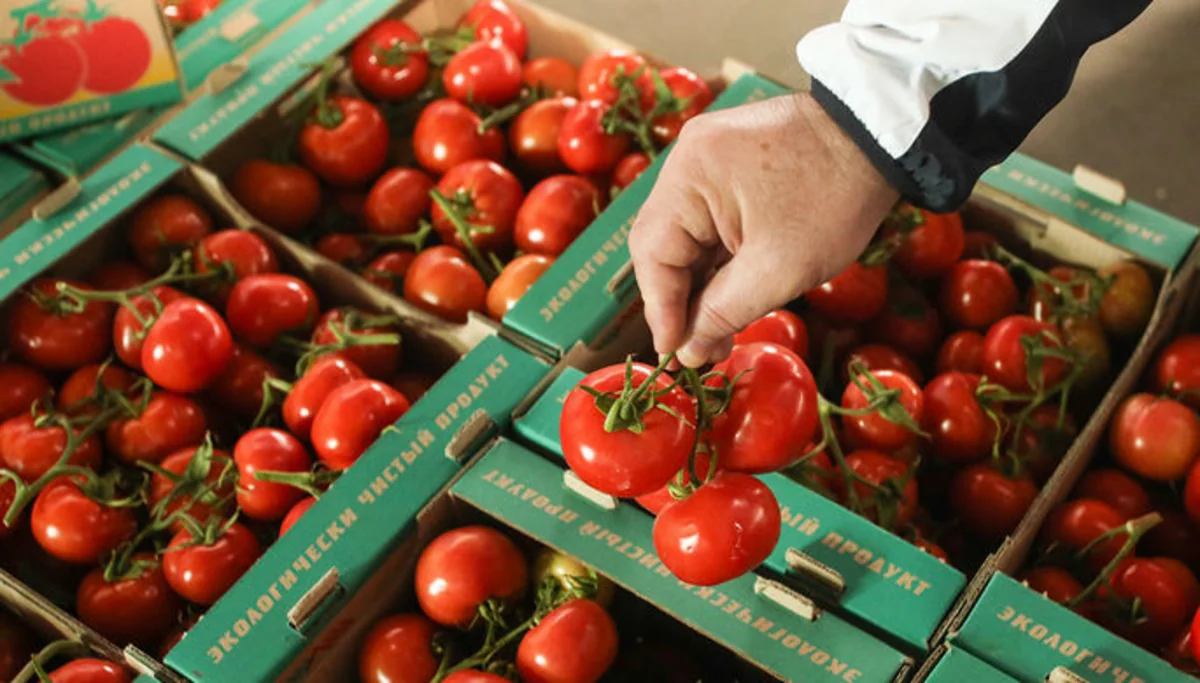 Russia announces terms of tomato import from Turkey