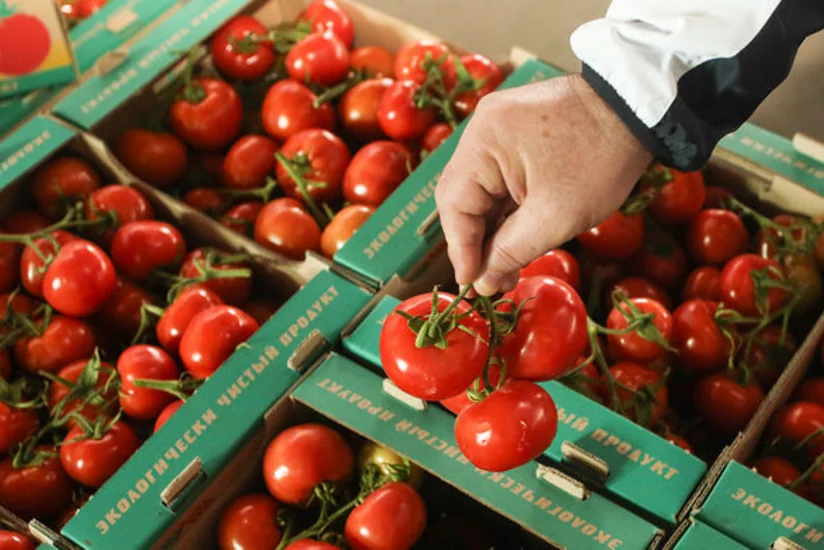 Russia announces terms of tomato import from Turkey