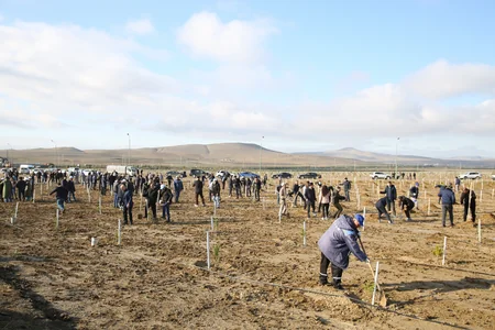 Tree-planting campaign held on 30th anniversary of New Azerbaijan Party