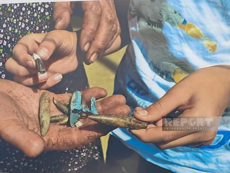 Ricardas Lapaitis: Azerbaijan was in information blockade, still difficult to convey truth