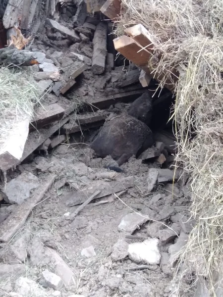Dövlət orqanları Lerikdəki torpaq sürüşməsinin digər evlər üçün təhlükəsini araşdırır