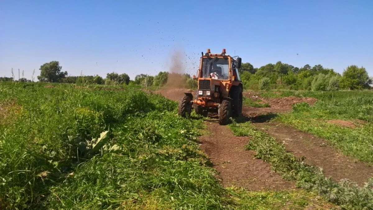 Bakıda bağda işləyən qadını traktor vurub