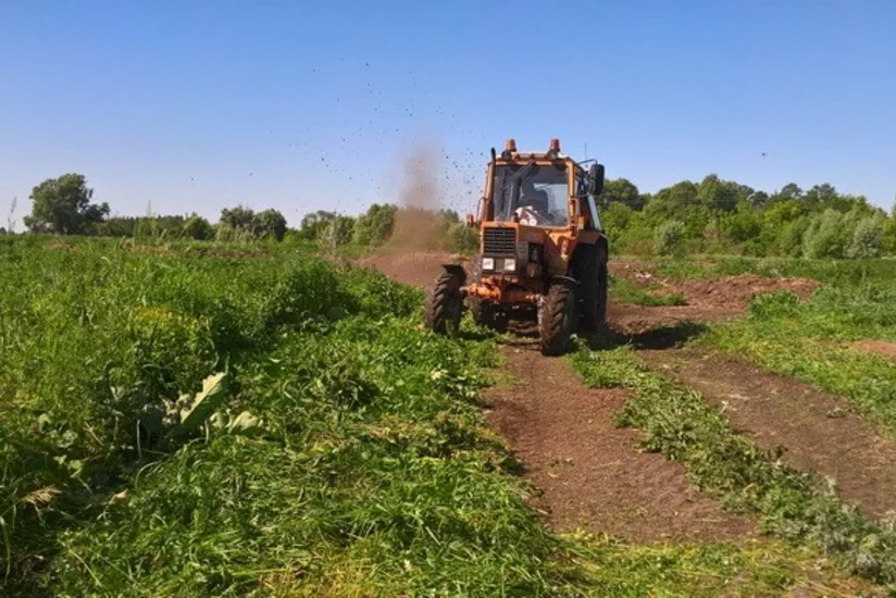 Bakıda bağda işləyən qadını traktor vurub