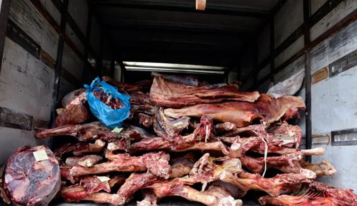Azərbaycanda mənşəyi məlum olmayan dondurulmuş heyvan əti aşkarlanıb