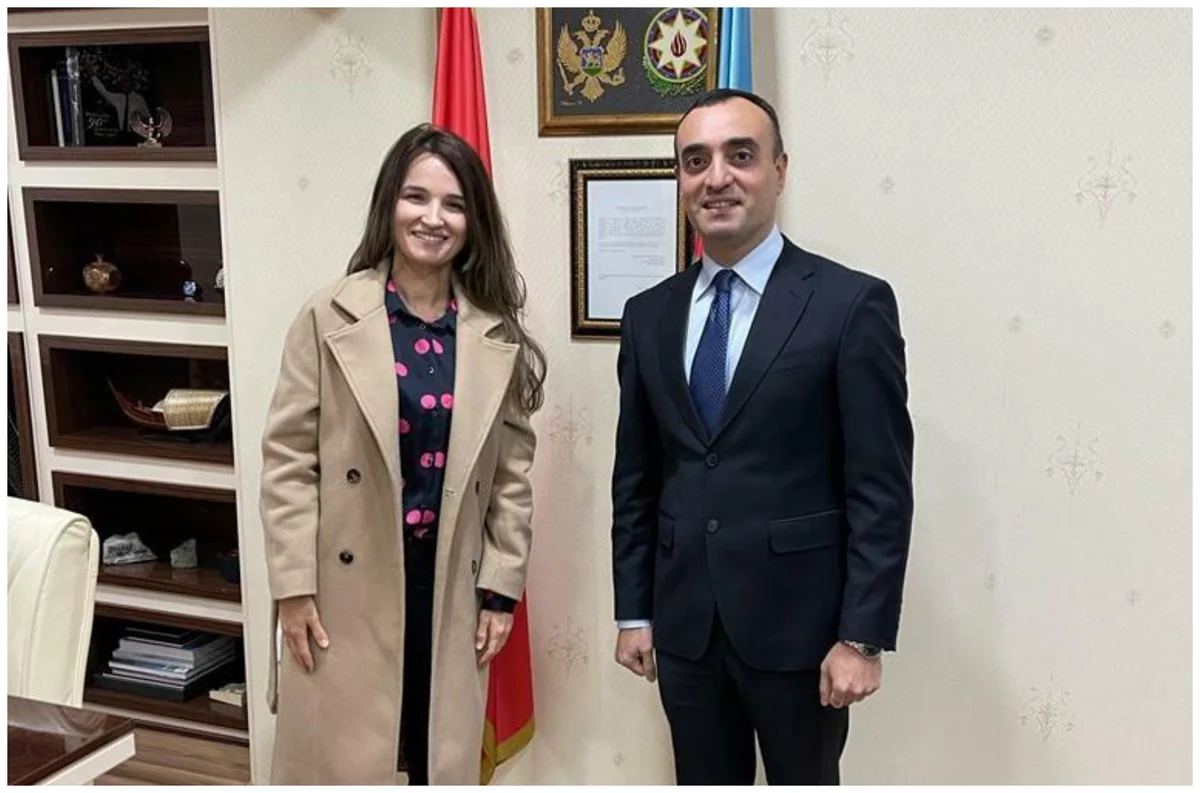 Head of Montenegro Diplomatic Office in Azerbaijan appointed