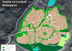 Anar Quliyev: Şuşanın təbii meşə və parkları bərpa olunacaq