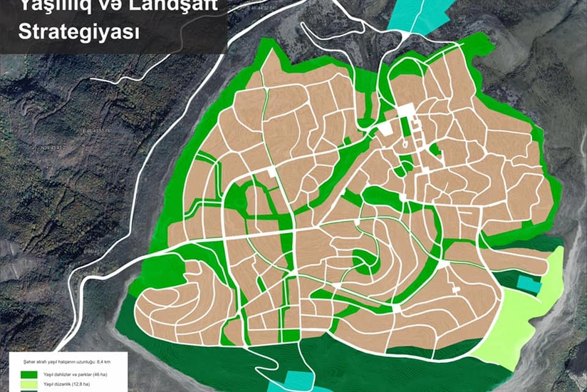 Anar Quliyev: Şuşanın təbii meşə və parkları bərpa olunacaq