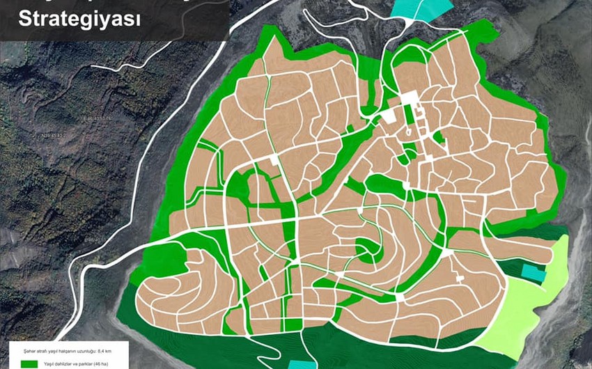 Anar Guliyev: Shusha's natural forests and parks will be restored