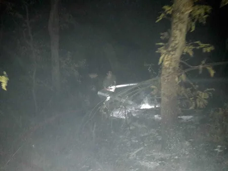 FHN meşə yanğınları ilə bağlı məlumat yayıb