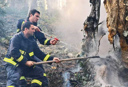 Georgia fighting to contain forest fire lasting for already two days