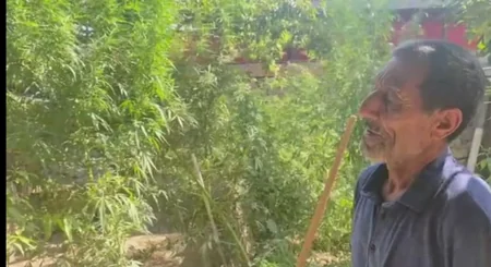 Salyan sakinindən külli miqdarda narkotik aşkarlandı - VİDEO