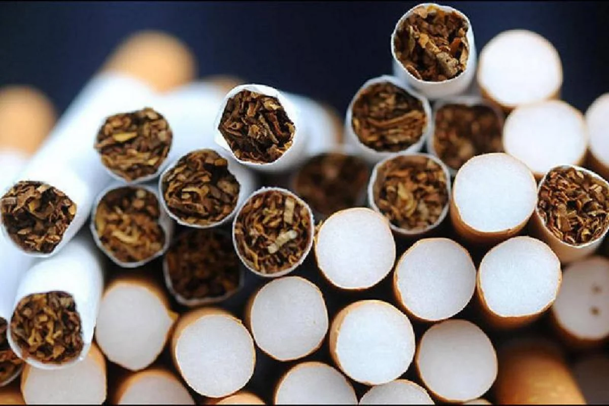 Azərbaycan tütün ixracını 63% artırıb