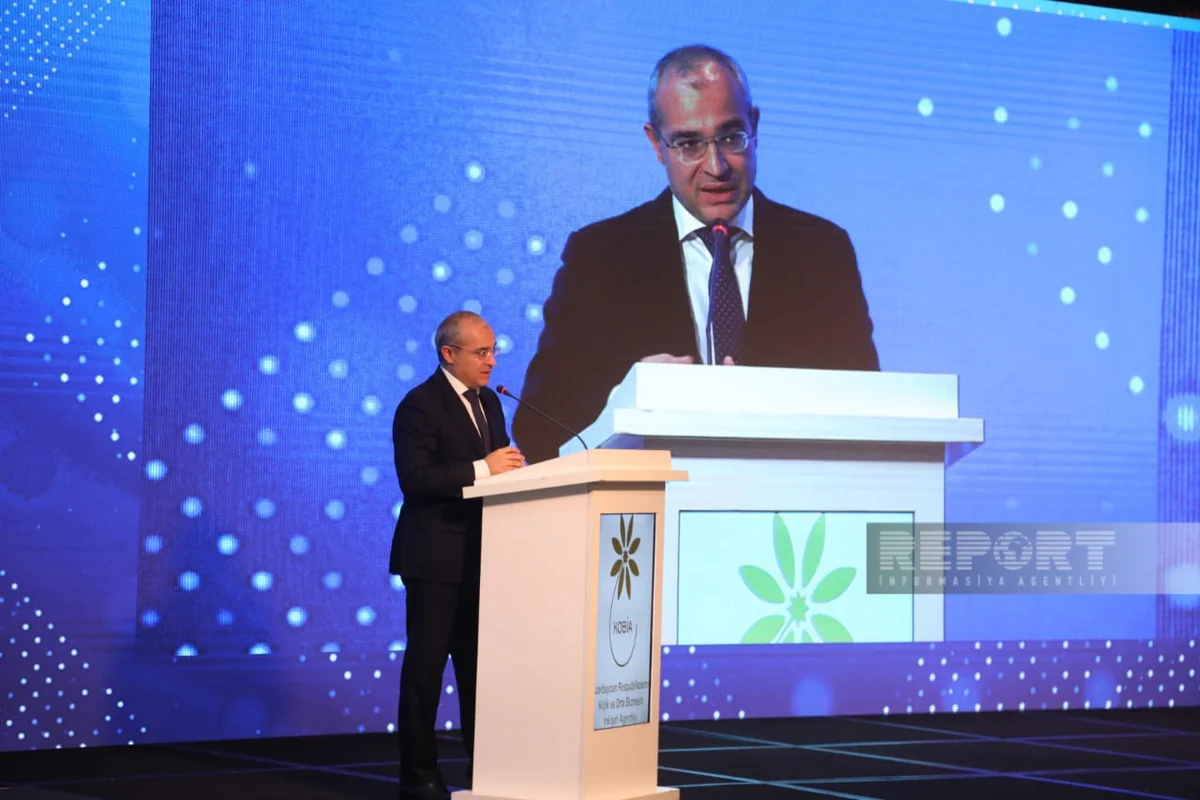 Jabbarov: Our goal is to use economic potential that we could not fulfill in Nakhchivan