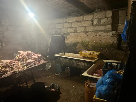 Masallıda toyuq kəsim sexinin işi məhdudlaşdırılıb