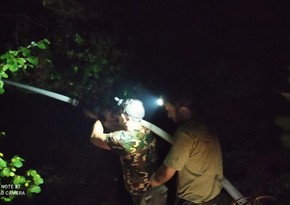 FHN-in yanğın-xilasetmə qüvvələri Türkiyədə yanğınların söndürülməsini davam etdirir