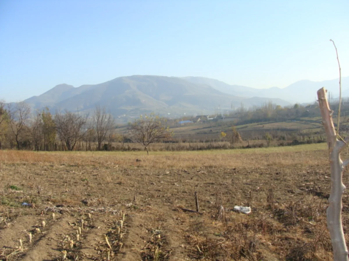 В Азербайджане внесут поправки в законы, связанные с земельными вопросами