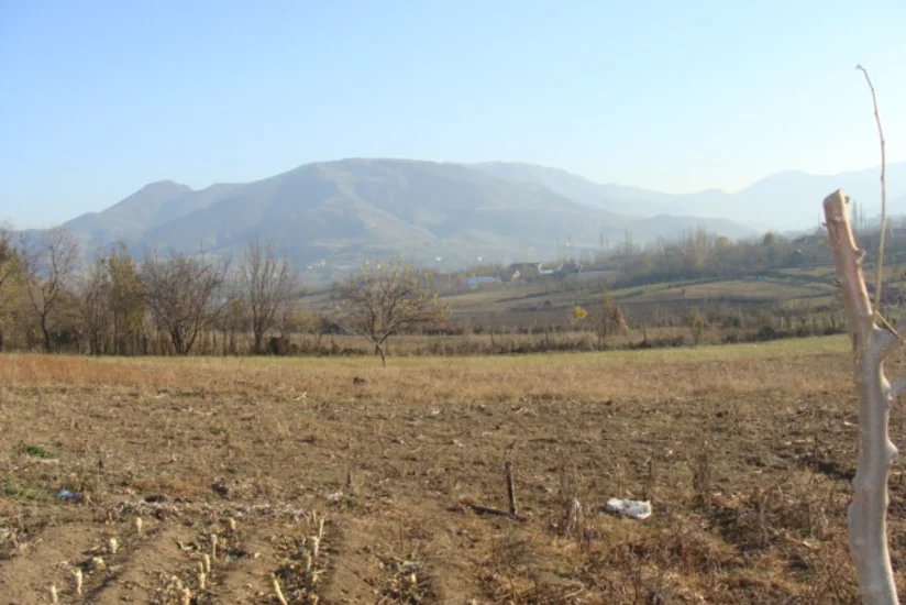 Azərbaycanda torpaq məsələləri ilə bağlı qanunlara dəyişiklik ediləcək