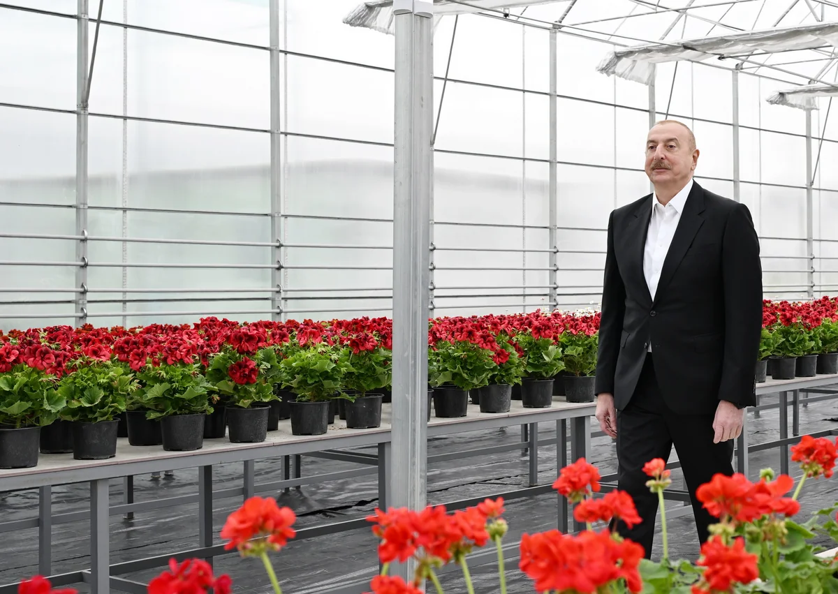 İlham Əliyev Gəncədə Ekoloji Park Kompleksinin tikintisi ilə tanış olub - YENİLƏNİB