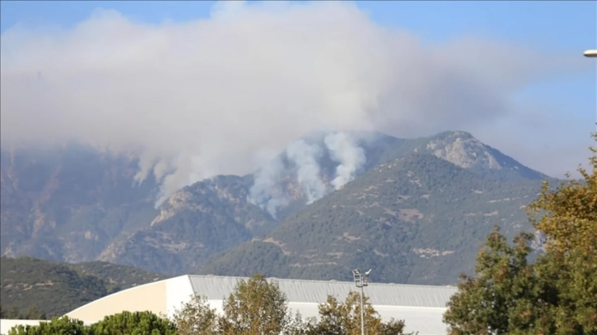 Türkiyənin Dənizli vilayətində altı gündür meşə yanır
