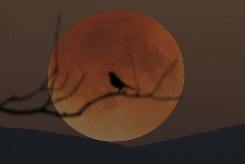 “Blood moon”: Total lunar eclipse will be longest moon visible this century
