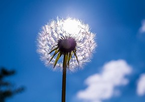 Azerbaijan weather forecast for July 17