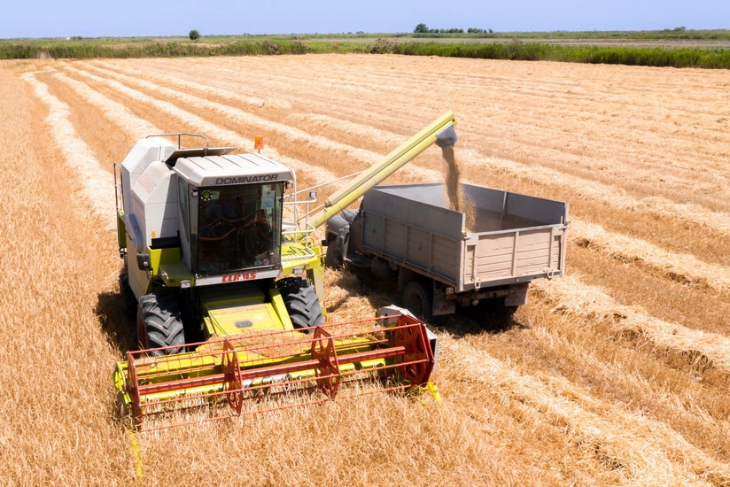Bu günə qədər Azərbaycanda 102 032 ton arpa yığılıb