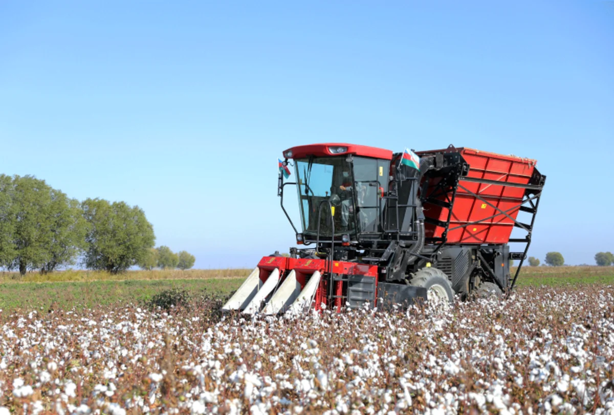 Azərbaycanda yeni nəsil Case kombaynlarının sınaq yığımları başlayıb