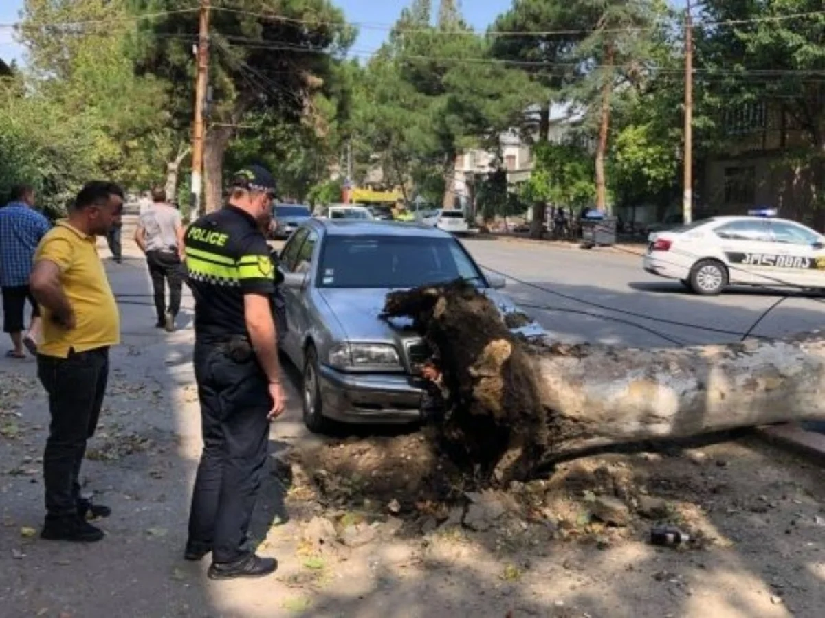 Güclü külək Tbilisidə fəsadlar törədib, xəsarət alanlar var