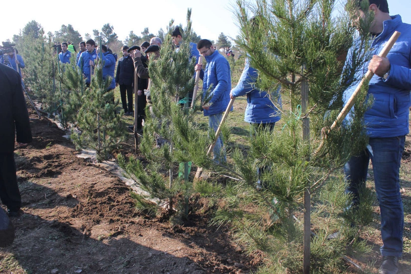 Wind Tuesday in Azerbaijan: Over 22,000 trees planted for greener future