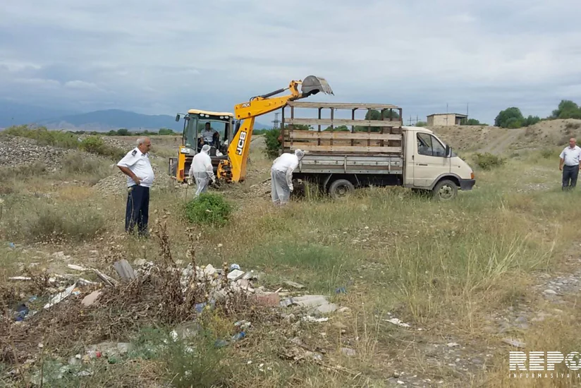 ​Tərtərdə at kəsimi ilə məşğul olan şəxslər tutulub - FOTO