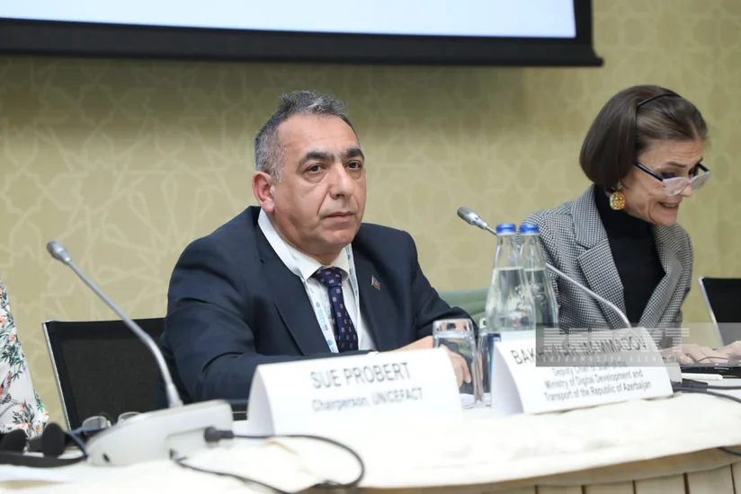 RİNN rəsmisi: Azərbaycan nəqliyyat əlaqələri qovşağına çevrilmək iddiasındadır