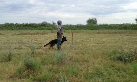 Cocuq Mərcanlıda 7960 ədəd qəlpə, 1 ədəd tank əleyhinə raket aşkarlanıb