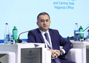 Azərbaycanda təhsil alan tələbə qızların faiz nisbəti açıqlanıb
