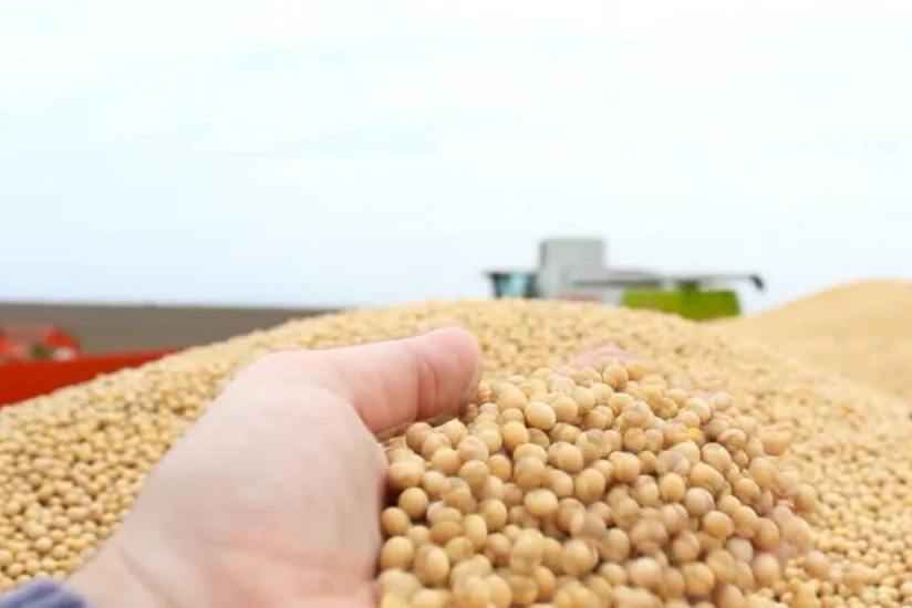 Çindən Azərbaycana soya idxalı bərpa edilib