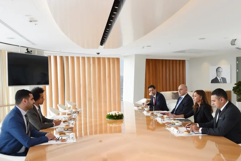 Mehriban Aliyeva meets with members of France-Azerbaijan Friendship Group