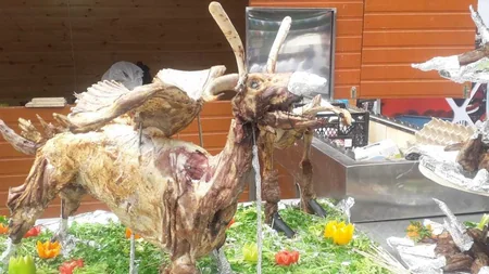 Qubada “Regional Mətbəx Festivalı” keçirilib