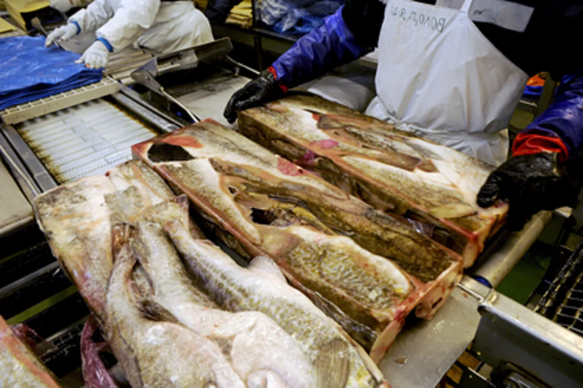 В Китае нашли живой коронавирус на упаковке замороженных продуктов