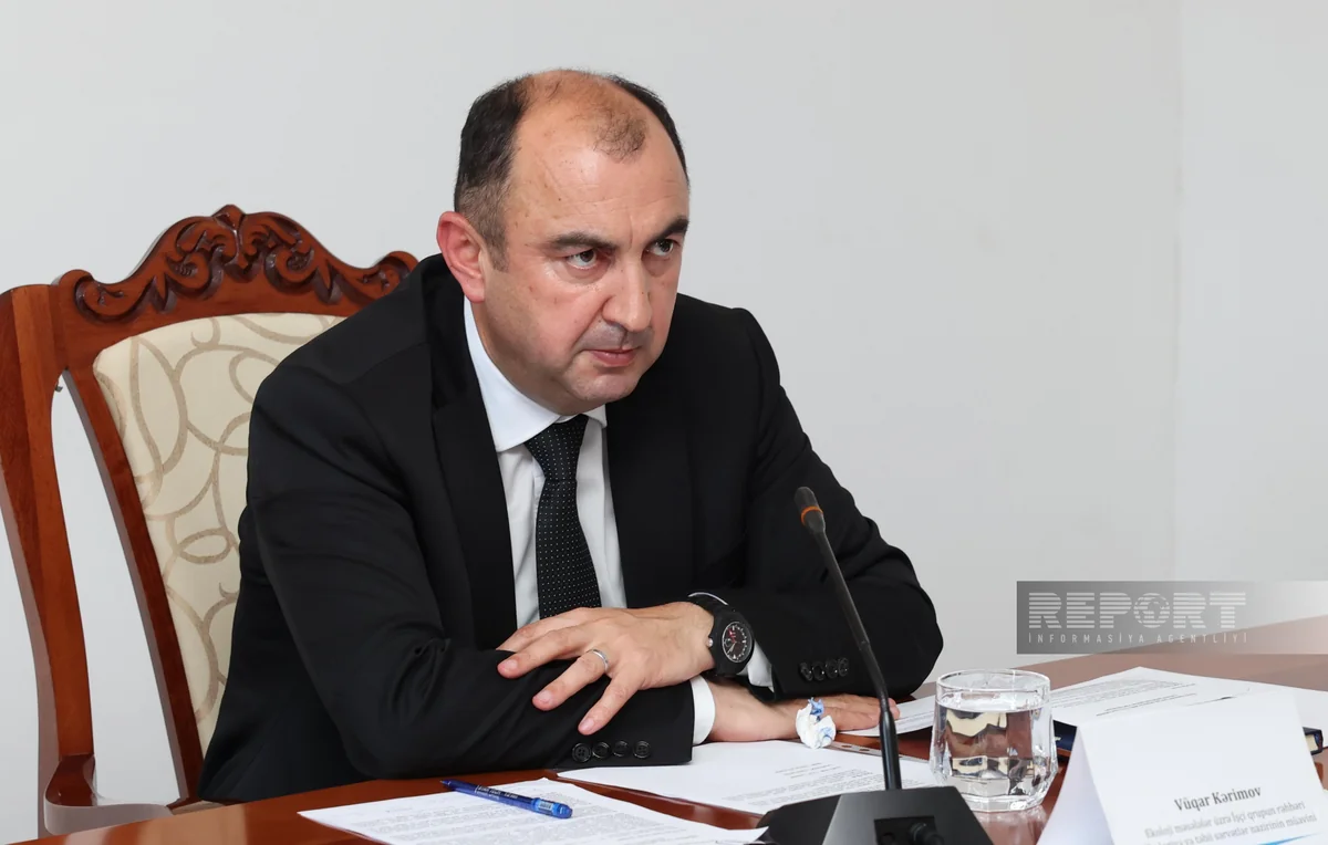 Nazir müavini: Ermənilər işğal dövründə 54 min hektar meşə sahəsini məhv edib 