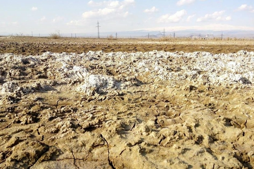 Restoring fertility of saline soils in Azerbaijan to be important step within COP29